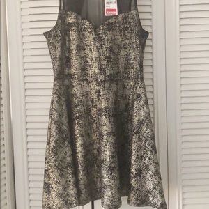 Nordstrom Dresses - BRAND NEW WITH TAGS!!! GOLD AND BLACK SKATER DRESS Nordstrom Dresses - BRAND NEW WITH TAGS!!! GOLD AND BLACK SKATER DRESS